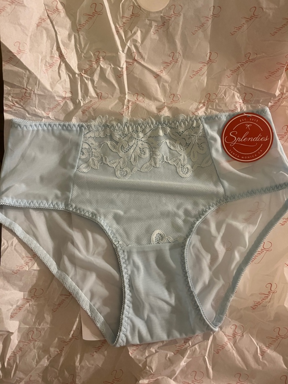 Splendies Women's Lace-Accent Light Blue High-Cut Brief Panty